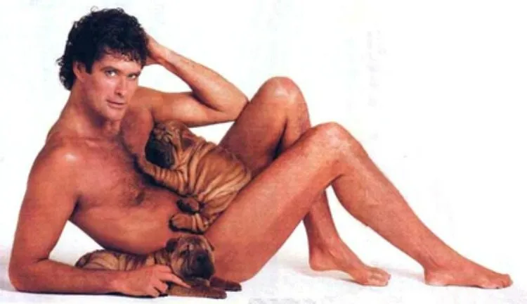 hoff