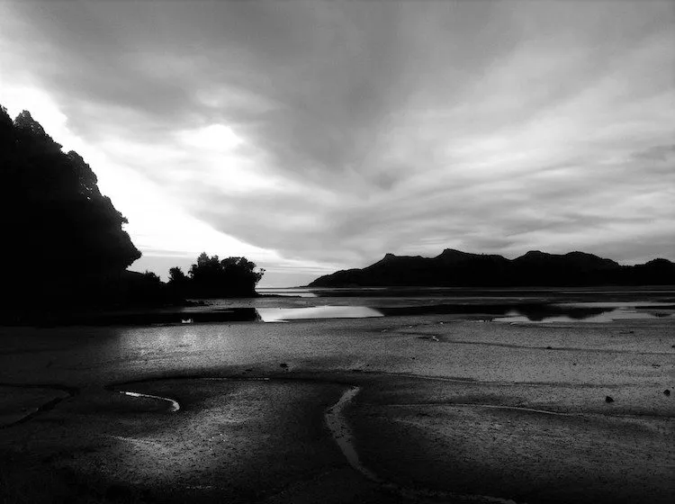 Whanganui Inlet, photo by Talia Marshall