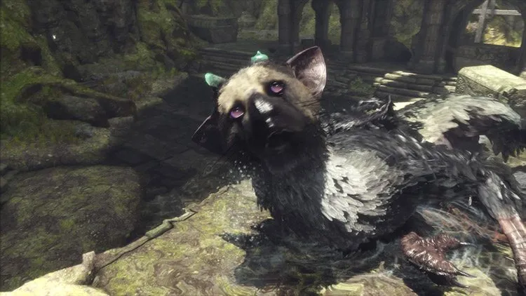 The Last Guardian™_20161202110801