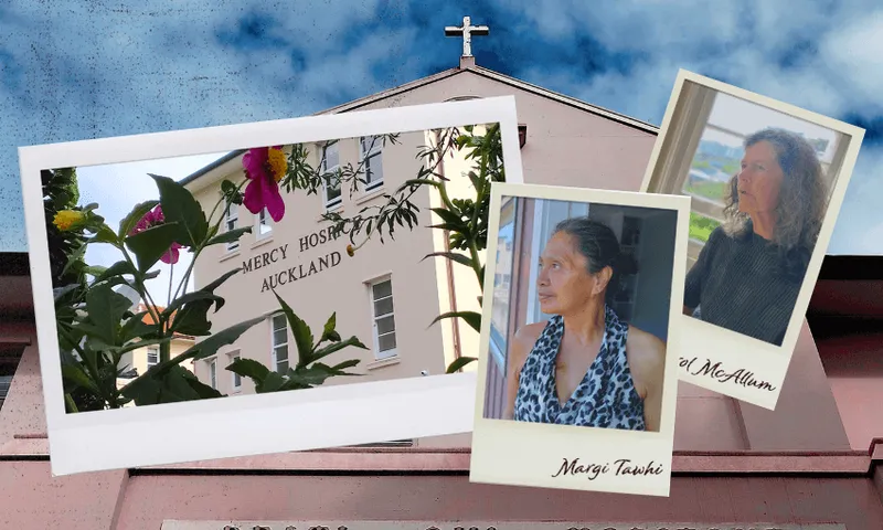 Palliative care feature image