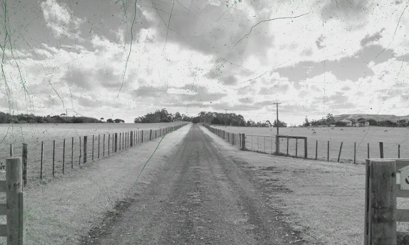 A long dirt road stretches straight ahead between fenced grassy fields under a cloudy sky, creating a sense of depth and distance; the image has a vintage, scratched texture.