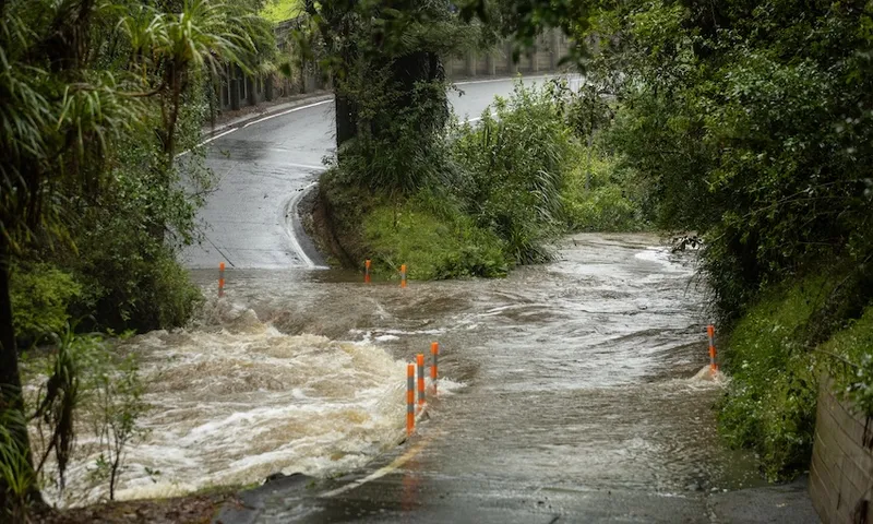 A flooded road surrounded by trees, with water flowing over the pavement and orange markers partially submerged. The road curves and disappears into the greenery, indicating dangerous driving conditions.