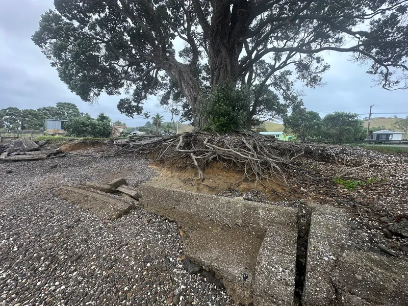 A large tree with exposed roots stands on a sandy bank, surrounded by broken concrete slabs and a pebble-covered ground. In the background, there are houses, greenery, and a cloudy sky.