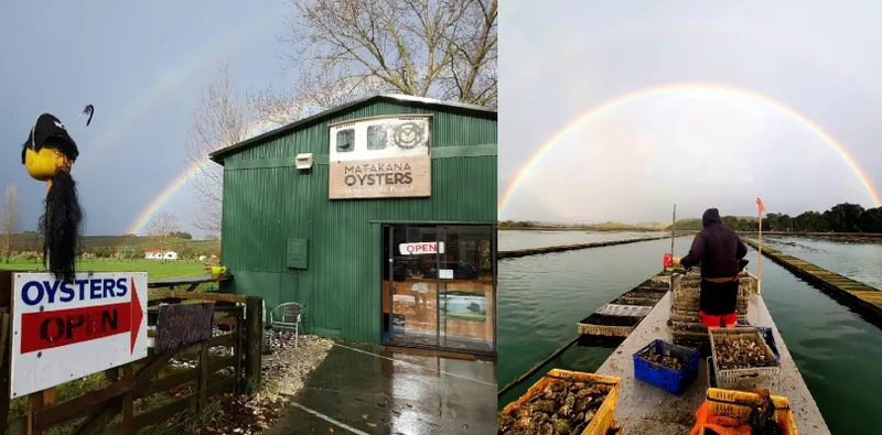 Two photos: left, a green building with a sign "Matakana Oysters" and a rainbow in the sky; right, a person stands on a dock with crates of oysters under a bright rainbow.