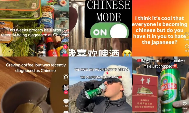 A collection of screenshots posted to the Chinamaxxing trend, including a grocery haul where a person describes themselves as "recently diagnosed as Chinese".