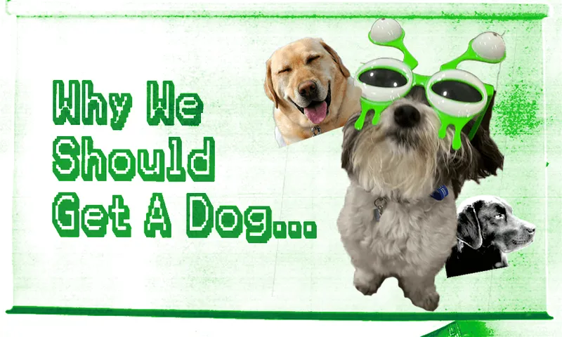 Child's Why We Should Get A Dog presentation