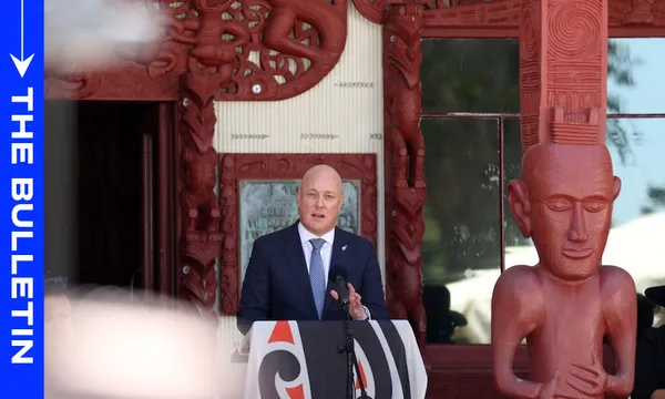 A bald man in a suit speaks at a podium covered with a black, white, and red flag in front of a carved red wooden Māori meeting house. A carved Māori statue stands beside him. A blue banner reads "THE BULLETIN" on the left.