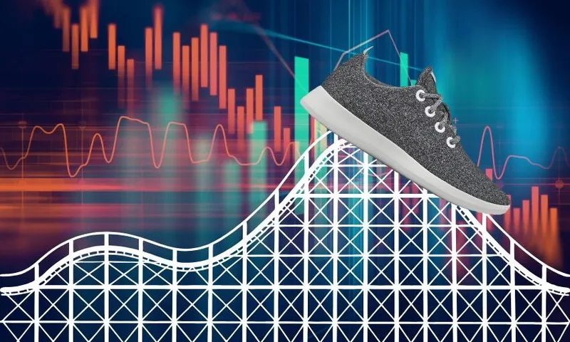 The ups and downs of Allbirds since 2016.
