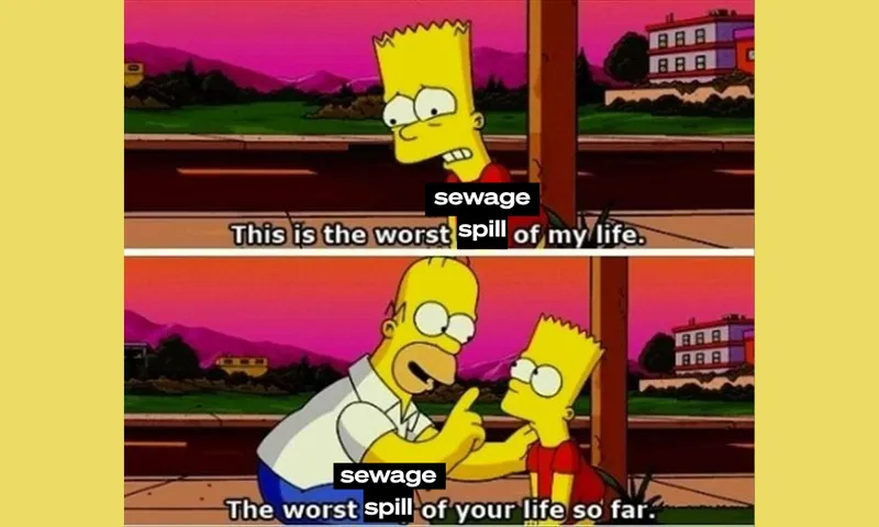 Bart Simpson looks upset, saying, "This is the worst sewage spill of my life." Homer, comforting Bart, says, "The worst sewage spill of your life so far." The word "sewage" is edited over the original dialogue.