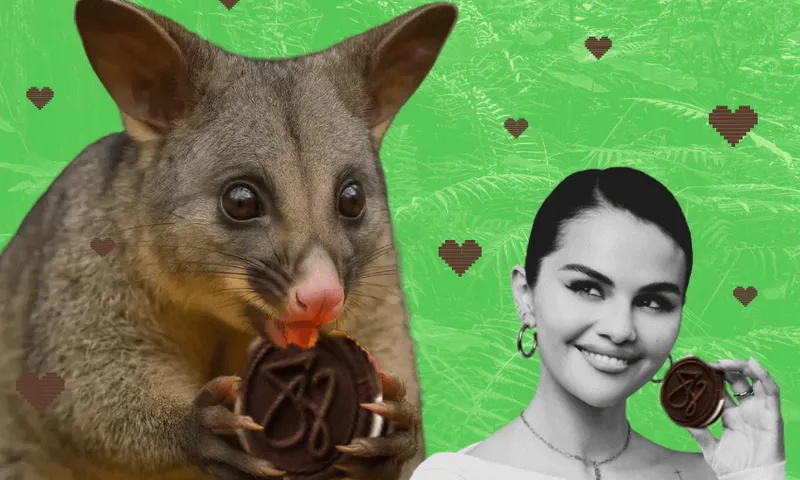 FeatureImage_Possums-SelenaGomesOreos.png