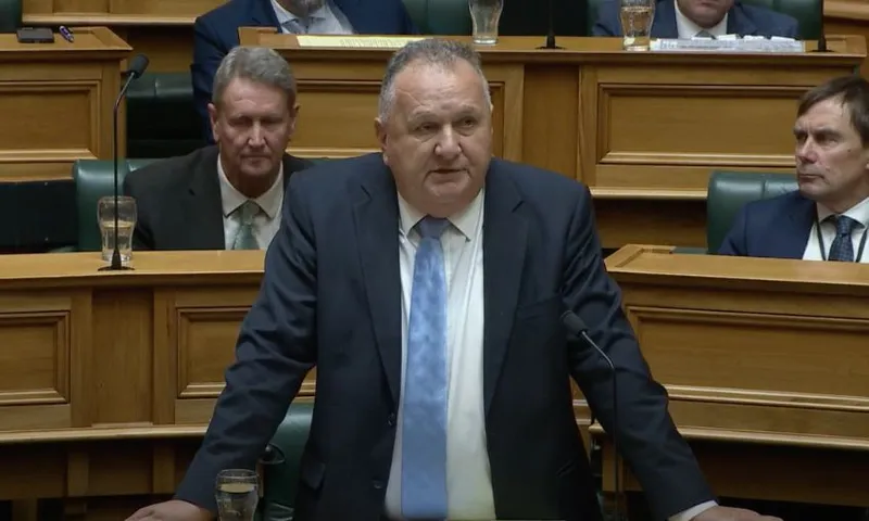 Shane Jones speaks from his bench in the House.