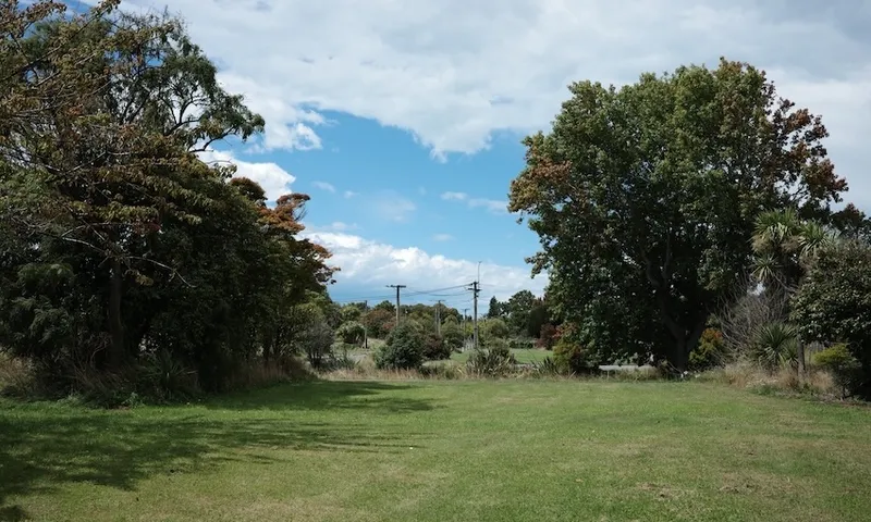 a green lawn that may once have been a house with trees around it and electricity lines threading through the background