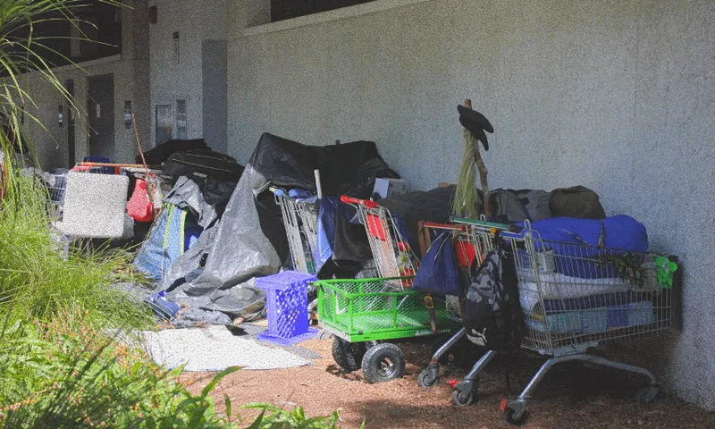 Several shopping carts filled with belongings, covered by tarps and bags, are lined up against a building wall, suggesting an encampment of unhoused people. Grass and plants are visible in the foreground.