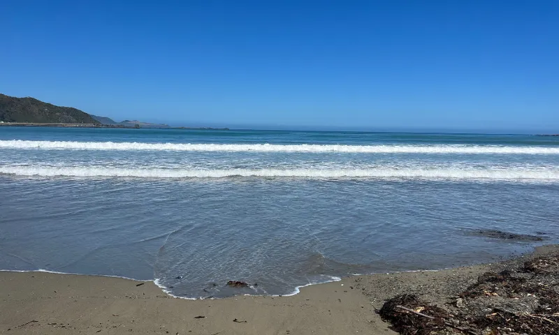 The shore at Lyall Bay, at high tide.