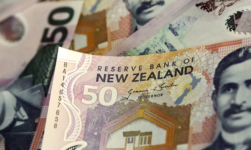 New Zealand Currency - Fifty Dollar Bill