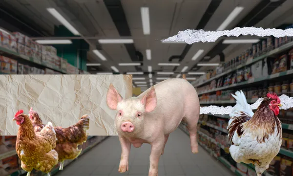 a dark supermarket with some pigs and chickes superimposed on top