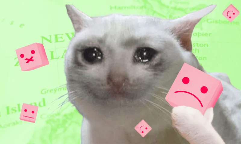 Sad cat