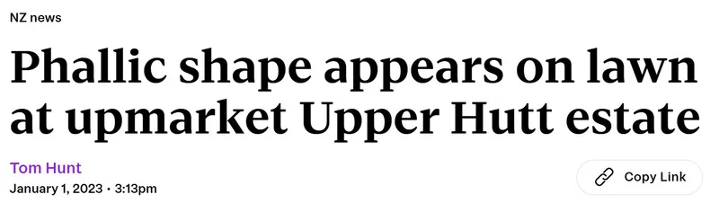 Headline on a news website reads, “Phallic shape appears on lawn at upmarket Upper Hutt estate,” with byline Tom Hunt, dated January 1, 2023, at 3:13pm.