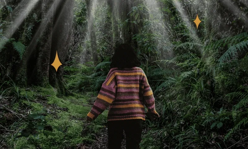 A young person is wandering through the bush which has sparks and sun rays.