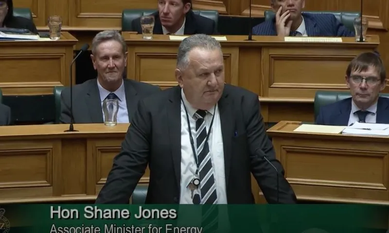Shane Jones, with has hands on his bench, speaks in the House.