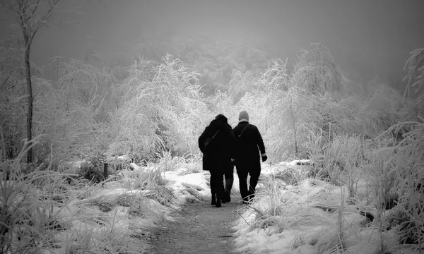 Snow