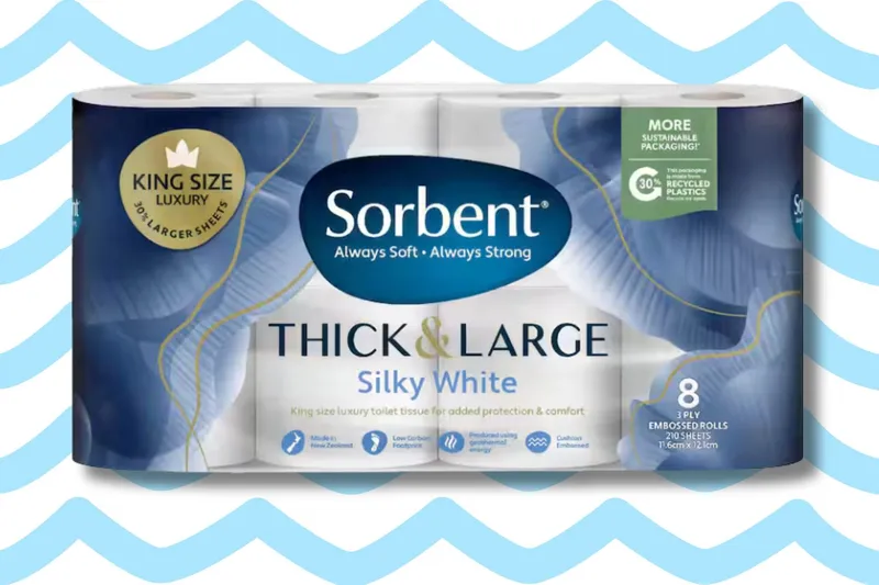 Sorbent thick and large toilet paper