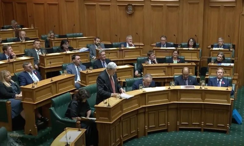 A wide shot inside the chambers showing Winston Peters standing to speak while Todd McClay is slumped in his seat.
