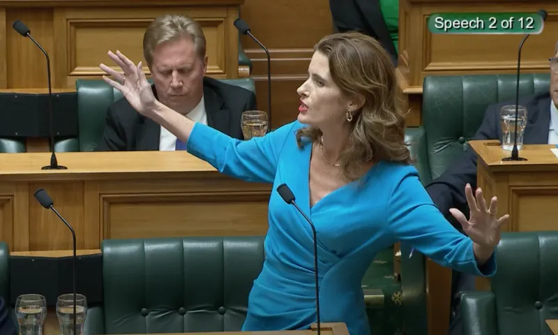 Nicola Willis has her hands up in the air as she gives a speech from her bench in the House.