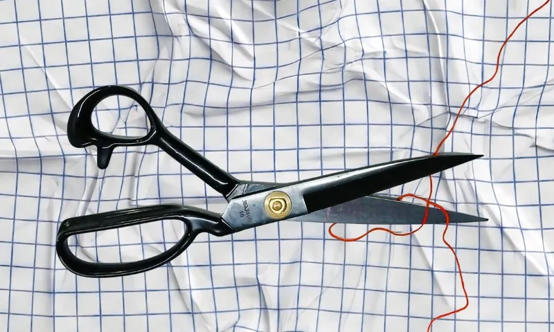 Scissors and thread on graph paper