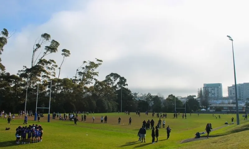 A group of people play and watch a rugby league match on a grassy field surrounded by trees, with a few buildings visible in the background under a cloudy sky.