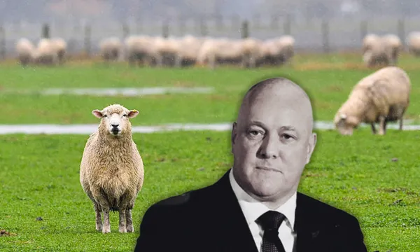 farming-nz.png