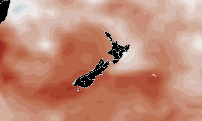 image-9.jpg