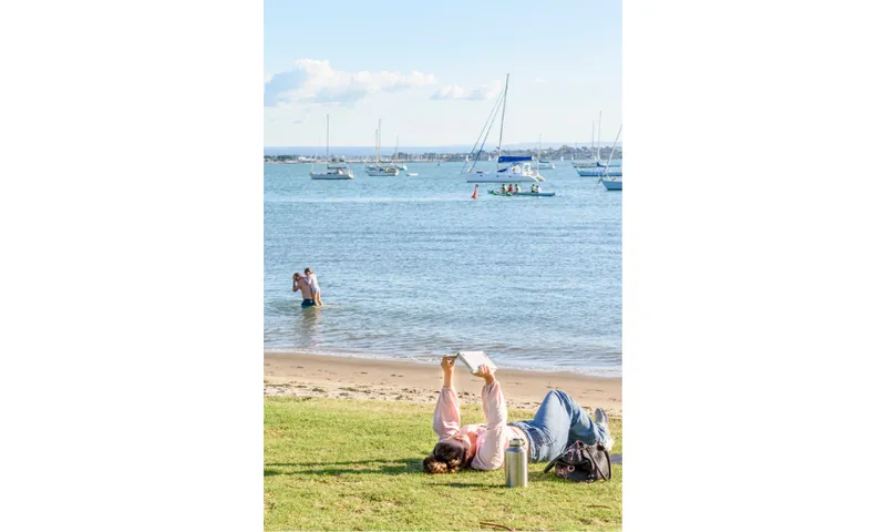 A person is lying on the grass in front of a beach reading.