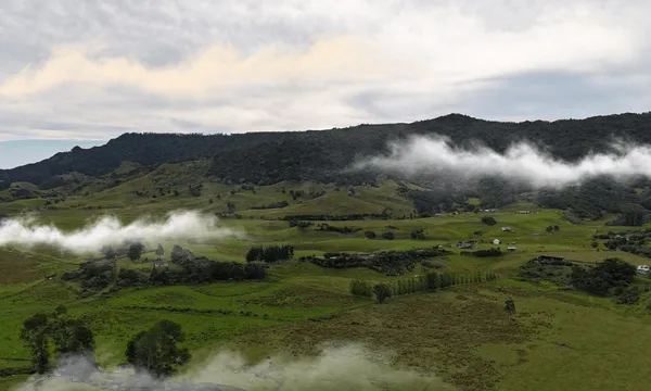 Misty Far North