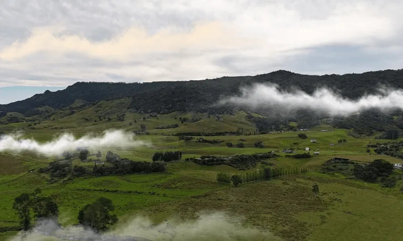 Misty Far North