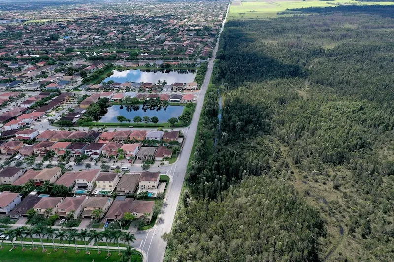 An aerial view showing a sharp division between a densely packed suburban neighborhood with houses and ponds on the left, and a large expanse of green forest on the right, separated by a straight road.