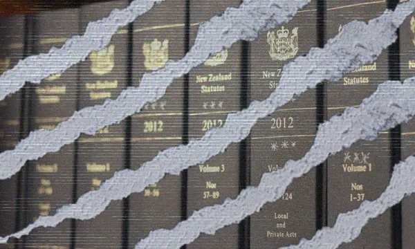 A row of legal books labeled "New Zealand Statutes 2012" is shown with jagged, torn-like white streaks running diagonally across the image.