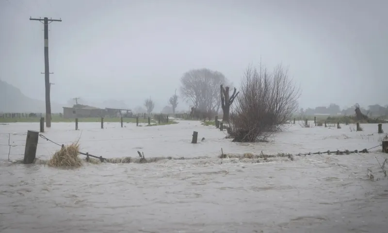 A month’s rain in a day for Kaikōura (Photo: Nathan Mckinnon / RNZ)