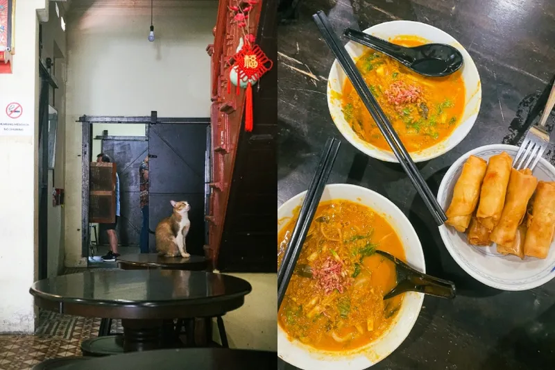 A split image: left side shows a cat sitting in a rustic cafe interior; right side displays two bowls of noodle soup, a plate of spring rolls, chopsticks, and spoons on a dark table.