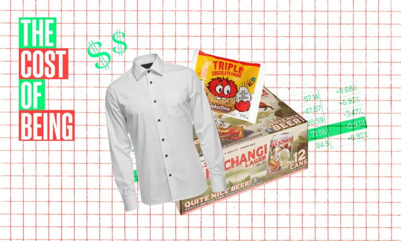 A white shirt, snacks, and a 12-pack of beer are displayed on a chart with green numbers. Text on the left reads "THE COST OF BEING" in bold red and green letters with two green dollar signs above.