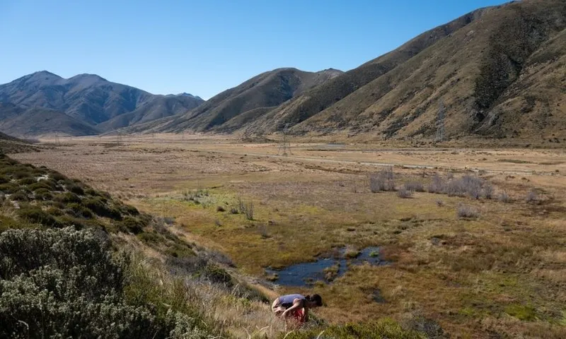 A person in a singlet bends down in a grassy valley surrounded by brown, rolling hills under a clear blue sky.