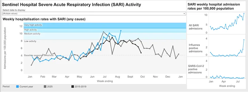 Line graph showing weekly hospitalisation rates with SARI from January to January for 2023, 2024, and 2015-2019 average, plus two small charts showing rises in influenza and SARS-CoV-2 hospital admissions.