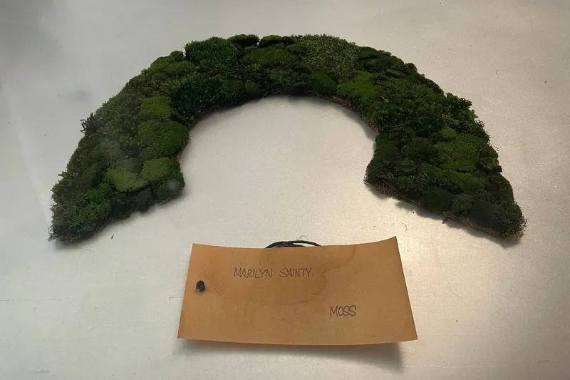 A moss collar by Marilyn Sainty