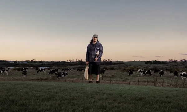 A person in casual clothes stands on grassy land holding a paddle, cows graze in the background under a dusk sky.