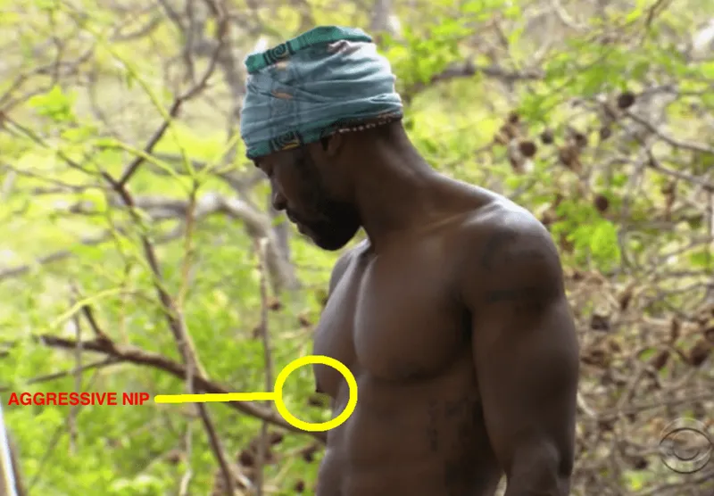 nip alert