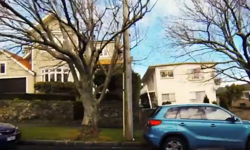videonzh
