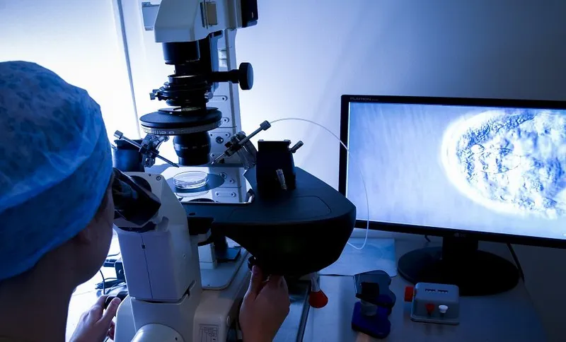IVF treatment. Technician injecting human sperm into a human egg cell using a technique known as intracytoplasmic sperm injection (ICSI). This technique is used for in vitro fertilisation (IVF). The injected sperm fertilises the egg.