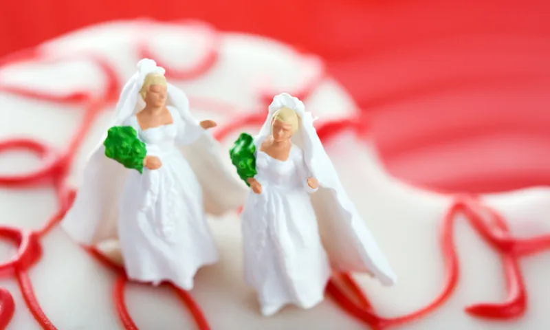 Just Married Brides