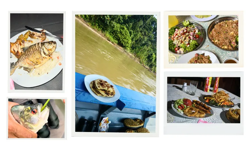 A collage of food images. At left there is an image of a fried piranha fish on a bed of rice and beans, below this is a photo of the live piranha, it has silvery green scales, a bright red eye and small sharp teeth. At middle there is a photo of a stack of pancakes on a white plate on the edge of a blue riverboat which is coasting along past green jungle and brown river water, at right there are two photos the top one shows ceviche a raw fish dish, and chaufa a fired rice dish.