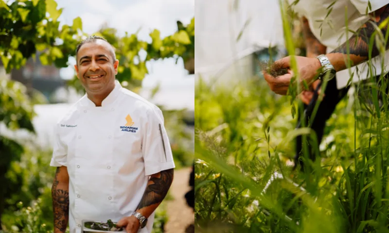 A chef in a white uniform smiles while holding a bowl in a lush garden. Beside him, a close-up of his hands picking herbs from green plants. The background features leafy vegetation under a bright sky.